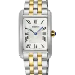 SEIKO Seiko Basic Silver/Stål 22 mm SWR087P1