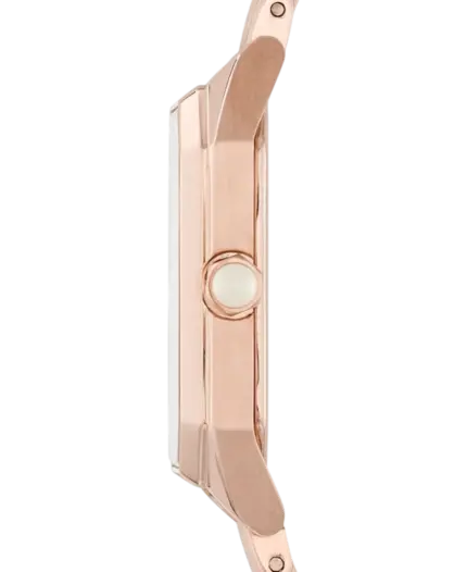 Emporio Armani 24 mm AR11389