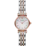 Emporio Armani 22 mm AR1764